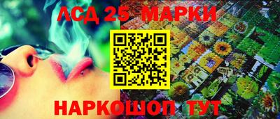гидропоника Донской