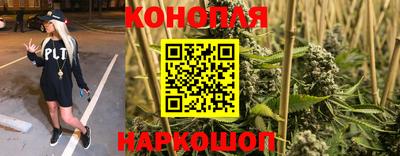 кокс Котовск