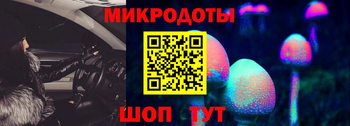 Псилоцибиновые грибы Psilocybe  Вход с VPN  Карталы 